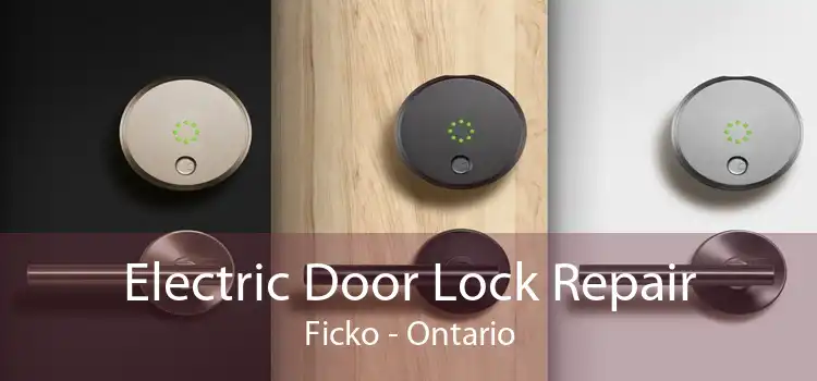 Electric Door Lock Repair Ficko - Ontario