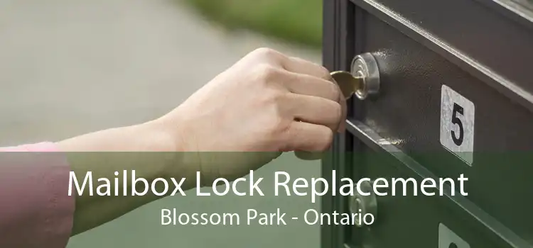 Mailbox Lock Replacement Blossom Park - Ontario