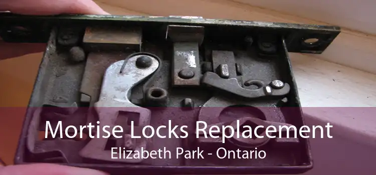 Mortise Locks Replacement Elizabeth Park - Ontario