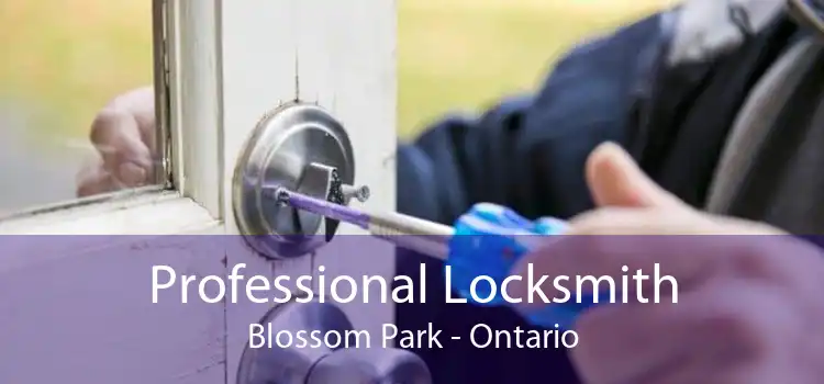 Professional Locksmith Blossom Park - Ontario