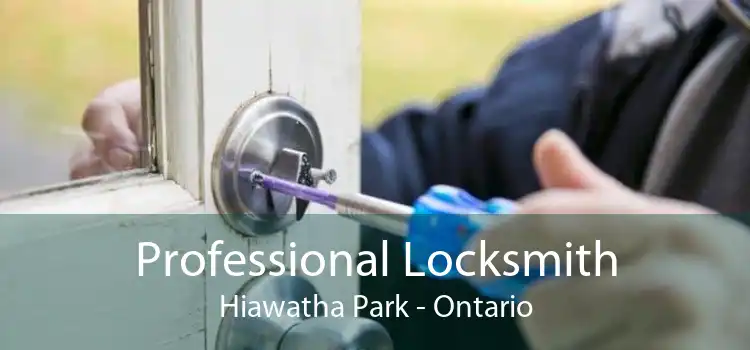 Professional Locksmith Hiawatha Park - Ontario