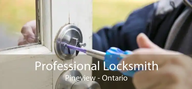 Professional Locksmith Pineview - Ontario
